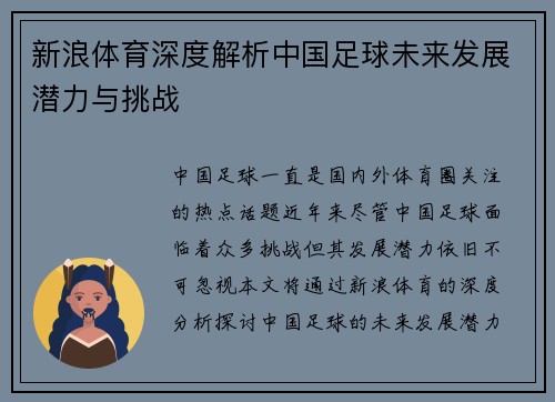 新浪体育深度解析中国足球未来发展潜力与挑战